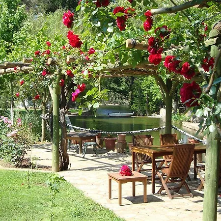 Otel Dalya Life Göcek