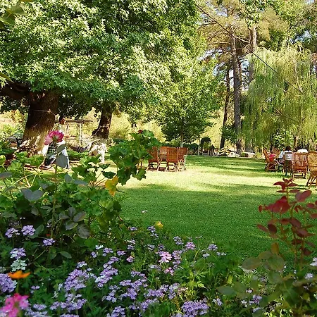 Otel Dalya Life Göcek