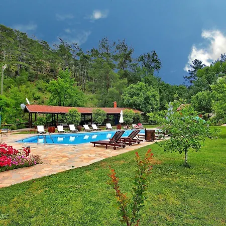 Otel Dalya Life